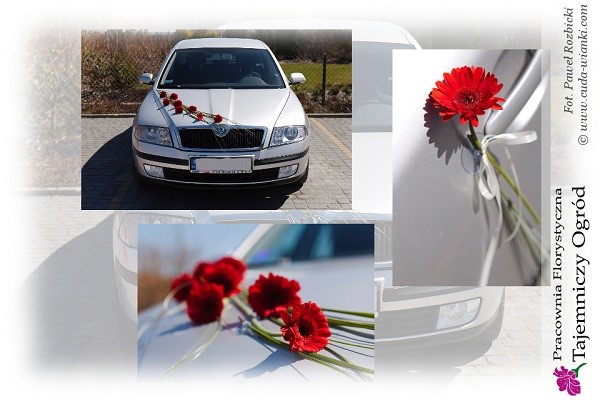 dekoracje ślubne na auto, samochód ślubny